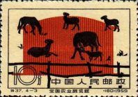 Cattle