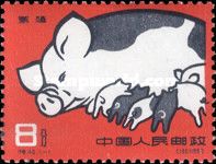 Pig breed