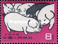 Pig breed