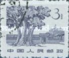 Trees & Sha Cho Pa Building, Juikin