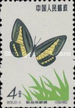 Striped Ringlet (Ragadia ensalda)