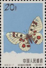 Richthofeni Red Apollo (Parnassius nomion)