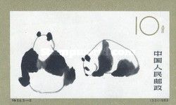Giant Panda (Ailuropoda melanoleuca)