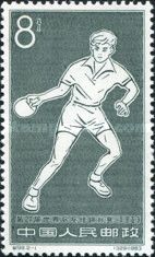 Table Tennis Player