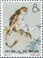 Grey Snub-nosed Monkey (Rhinopithecus brelichi)