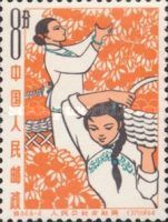 Woman picking fruit