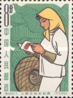 Woman reading book