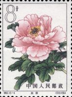 Chao Pink (4)