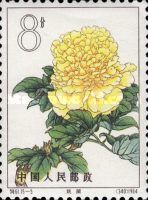 Yao Yellow (5)