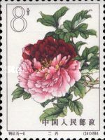 Twin Beauty (6)