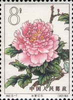 Ice-veiled Ruby (7)