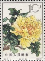 Imperial Robe Yellow (11)