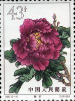 Wei Purple (14)