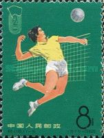 Volleyball