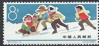 Tobogganing and skating