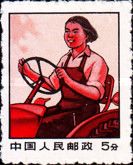 Woman Tractor Driver
