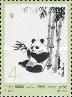 Giant Panda (Ailuropoda melanoleuca)
