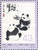 Giant Panda (Ailuropoda melanoleuca)