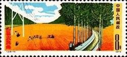 Flowering Fields