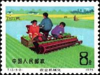 Growing of rice