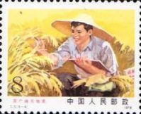 A student checks crops