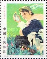 Shepherd feeds a lamb
