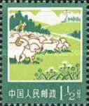 Sheepherding