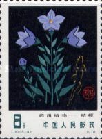 Balloon Flower (Platycodon grandiflorus)