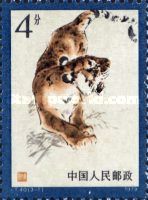 Tiger (Panthera tigris)