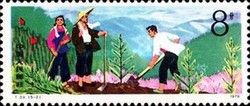 Forestry - Reafforestation