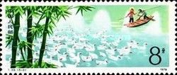 Cattle Breeding - Duck Flocking