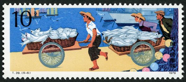 Fishing - Fish Transport