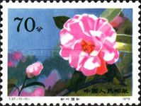 Hybrid Camellias from the Yunnan Province