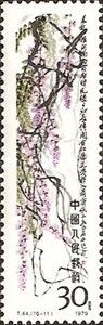 Wisteria