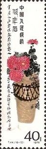 Chrysanthemums
