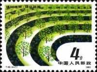 Reafforestation