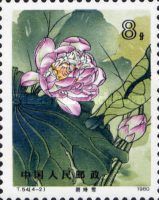 Lotus
