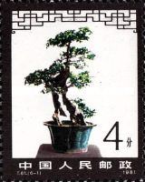 Bonsai