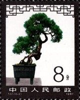 Bonsai