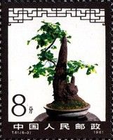 Bonsai