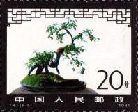 Bonsai