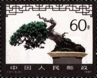 Bonsai