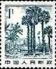 Xishuang Banna