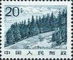 Forest on Mount Tian
