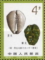 Coin shaped like a cowry
