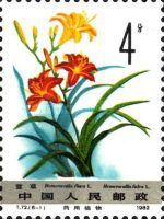 Hemerocallis flava
