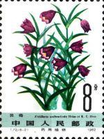 Fritillaria unibracteata