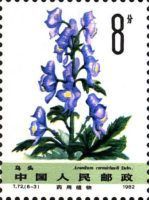 Aconitum carmichaelii