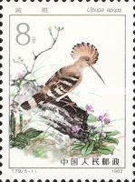 Eurasian Hoopoe (Upupa epops)
