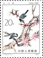 Japanese Tit (Parus major)